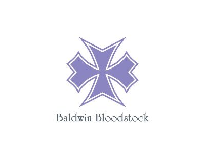 Baldwin Bloodstock is a Thoroughbred sales agency consigning horses to public auction. #BaldwinBldstk Contact baldwinbloodstock@gmail.com