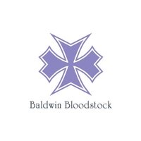 Baldwin Bloodstock(@BaldwinBldstk) 's Twitter Profile Photo