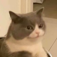flor (@irconlaflo) 's Twitter Profile
