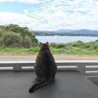 koko ここ🪴 (@hugfvmkkjncv) 's Twitter Profile