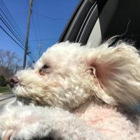 Greg Beck (@gregbeck80) 's Twitter Profile