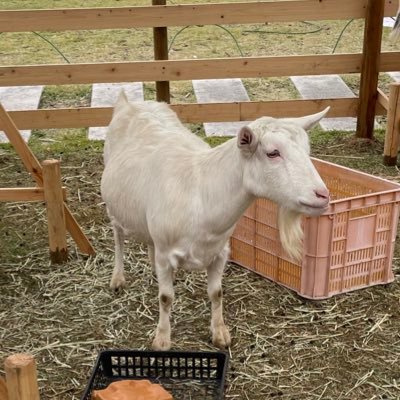 772Fp4TzwU4f0VV's profile picture. 競馬予想とかメインでツイートする。備忘録的な感じです😋競馬関係ならフォローして頂けると嬉しいです☺️ 鉄の馬にも乗ったりしています🏍