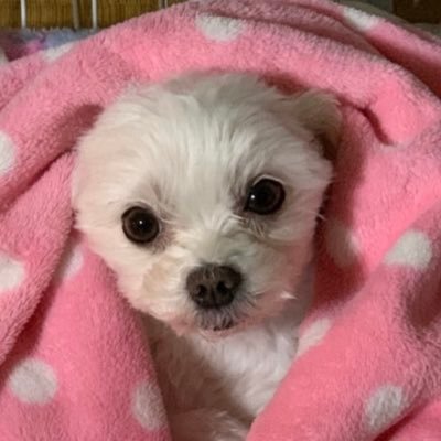 b97PeR1jKMv4H6b's profile picture. 