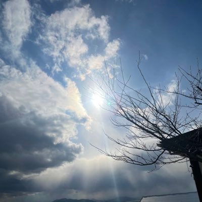 warpreset's profile picture. ANカード占い師🔮 宇宙哲学者。座敷わらし神名古。一元性を求める者。 We Are Now Reclaiming Our Planet.