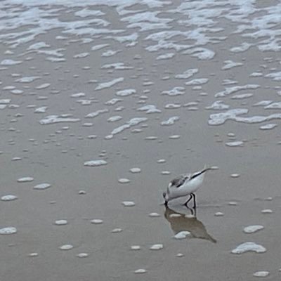 KurtDog22's profile picture. 