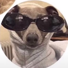 kkccc05's profile picture. ?¿