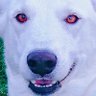 WayneWonder2276's profile picture. U.S. Marine Jet Engine Tech,Electrician Mech,Political Advisor & Investor, Always Stay Positive ! God Bless America and Our Military 😜