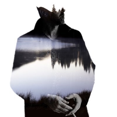 PetBully's profile picture. Pet Bully (n.): An adorable pet that bullies you into petting them all the time. Also, this guy making songs at home.