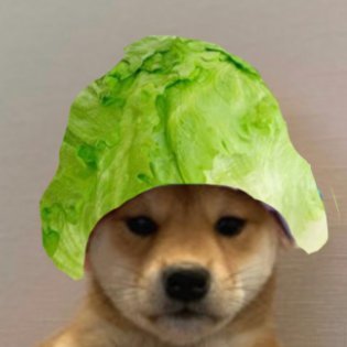 seacurs3's profile picture. Pls enjoy game