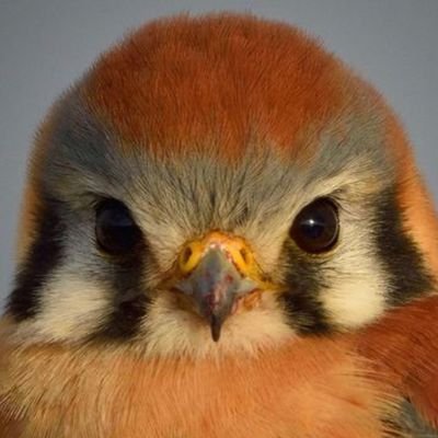 spillthetea565's profile picture. 