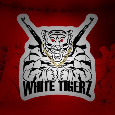 Official account of WhiteTigerz, a professional esports organization since 2016. #WTZistMacht