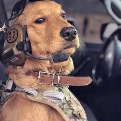 bailouttt's profile picture. 