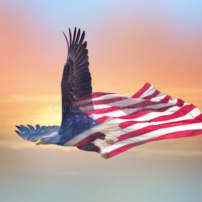 TimeForSomeTru1's profile picture. Time for the truth! The Revealing. Have Courage. Be Kind. LOVE like JESUS.