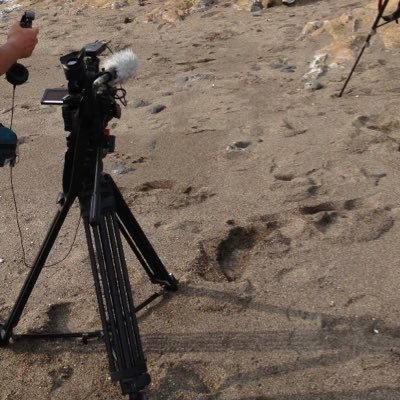 japan_artist_'s profile picture. 10代で俳優として映画デビュー。その後、20代半ばで転身。現在はプロデューサーや演出家として舞台やドラマ、映画の制作。最近は監督、脚本で映像作品を創作。積極的に若手、無名の役者をキャスティング。後進育成のため、たまに演技講師。辛口、熱血指導で多数の俳優、女優をデビューさせました。長年のノウハウを記事にしています。