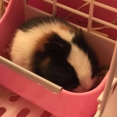 ldsiswho's profile picture. Surrounding.