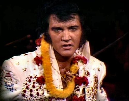 jane_whittard's profile picture. Share the Joy.I have 5 children,Angels Lee&Billy,Michael,Shelley Jake.I love Elvis and Angels