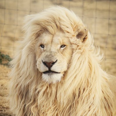 ParbhaniU's profile picture. Everyday — learning a bit more & trying to be better than yesterday.