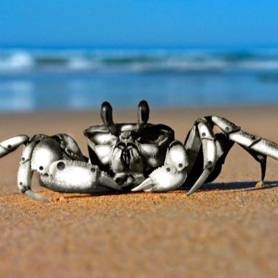 owocecrab's profile picture. 