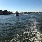 SHC🚛🚚🚜✝️ (@cottontwshc) 's Twitter Profile Photo