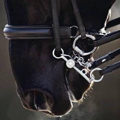 katgurklies's profile picture. 