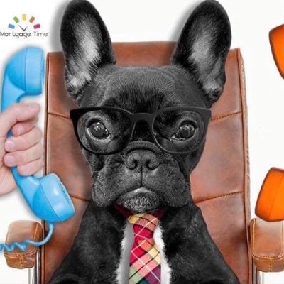 Infomortgageti1's profile picture. 