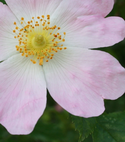 JulieBahu's profile picture. Fresh air fiend. Nature lover.💙💛