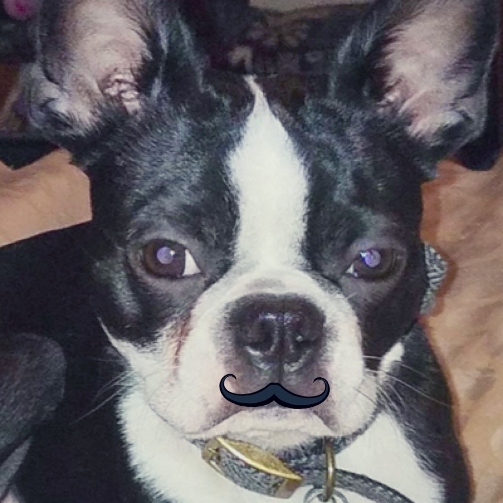 BecherAbby's profile picture. 