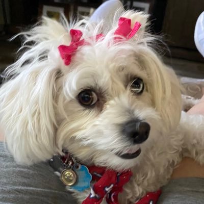 JSTOW1957's profile picture. Love Jesus! Pray “God Bless the USA”! Support MAGA! Desire Truth, Justice, Fairness and Equal opportunity for all People