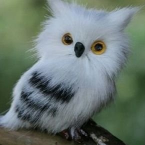 Fi_lo_me_na_'s profile picture. 