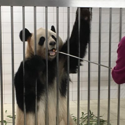 AYAKA27772's profile picture. 