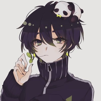 熊猫/パンダさんのプロフィール画像
