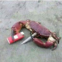 MrJack (@msimpledude) 's Twitter Profile