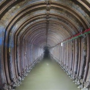 dikcless's profile picture. Wnnabe.

Opinions right from the gutter.

Pronouns: GFY