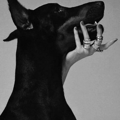 Poebotaa's profile picture. долбаеб 🤘 😎