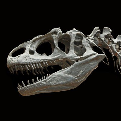 I like dinosaurs, and all the games about them. I allso have some projects in mind that I would like to share with you.