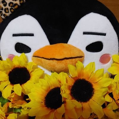 『ただ愛する仲』を見てジュノくんを好きになりました🥰🫶優しいジュノくんが大好き…素敵な人に出会えて本当に幸せ🥹いつも想ってくれて…たくさん愛してくれてありがとう🐧🌻☀️🥰
2PM💛ジュノ💛#이준호💛@dlwnsghek💛@follow_leejunho💛