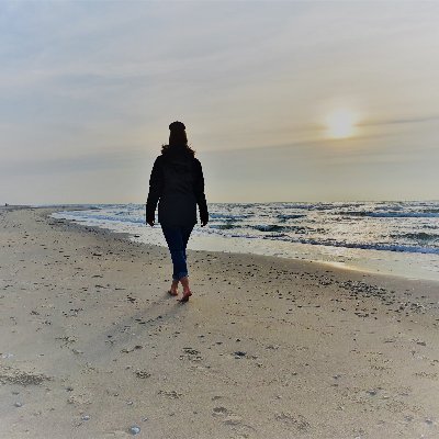 edu_wiebs's profile picture. 