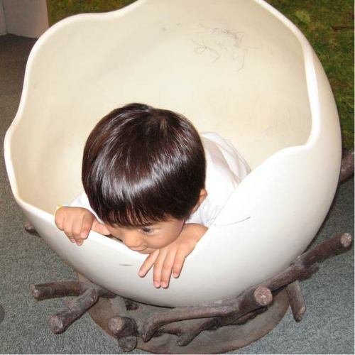 ikoka008's profile picture. 某出版社で本の編集をやっています．息子もとうとう社会人．夏には山登りを少々．愛知県出身なので，関西弁がうまく使えない．2拠点生活始めました．Mac愛用者．元素周期表同好会．令和7年度科学技術分野の文部科学大臣表彰（理解増進部門）