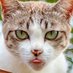 Mun (@mkotadia) Twitter profile photo Mun (@mkotadia) Twitter profile photo
