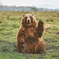 AYI (@ayibiradam) 's Twitter Profile Photo