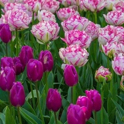 kimy171005's profile picture. Madre, esposa y emprendedora