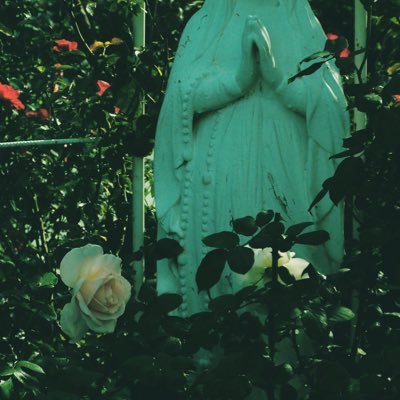 田篠さんのプロフィール画像