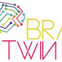 BrainTwin-H2020 (@braintwinh) 's Twitter Profile