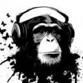 TheWiredGorilla's profile picture. Technobabble for the geek in you