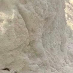 xxotnals135's profile picture. 