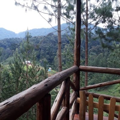 idushime's profile picture. Anything under the sun towards life's true purpose