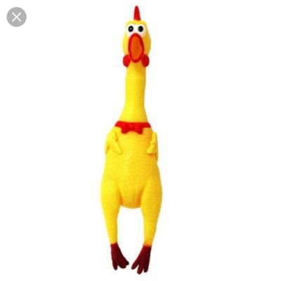 ぎるの鳥さんのプロフィール画像