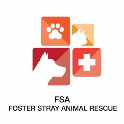 We rescue, provide medical treatment and shelter to the needy fost strays. 
DM for donations.
Your minor Donation may save a life of voiceless Animals