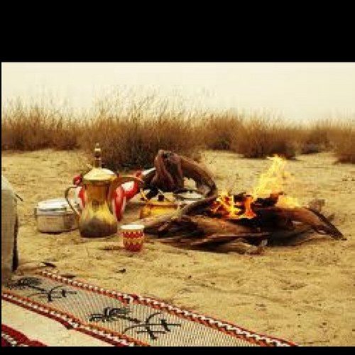 bokhaalid's profile picture. 