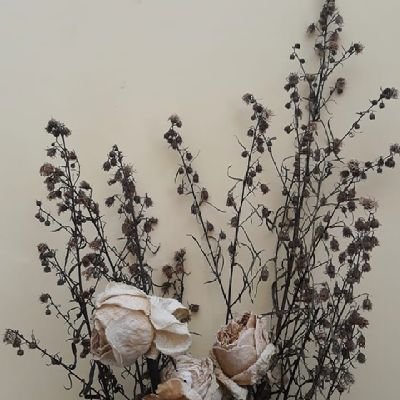 FransiskaSepty's profile picture. 